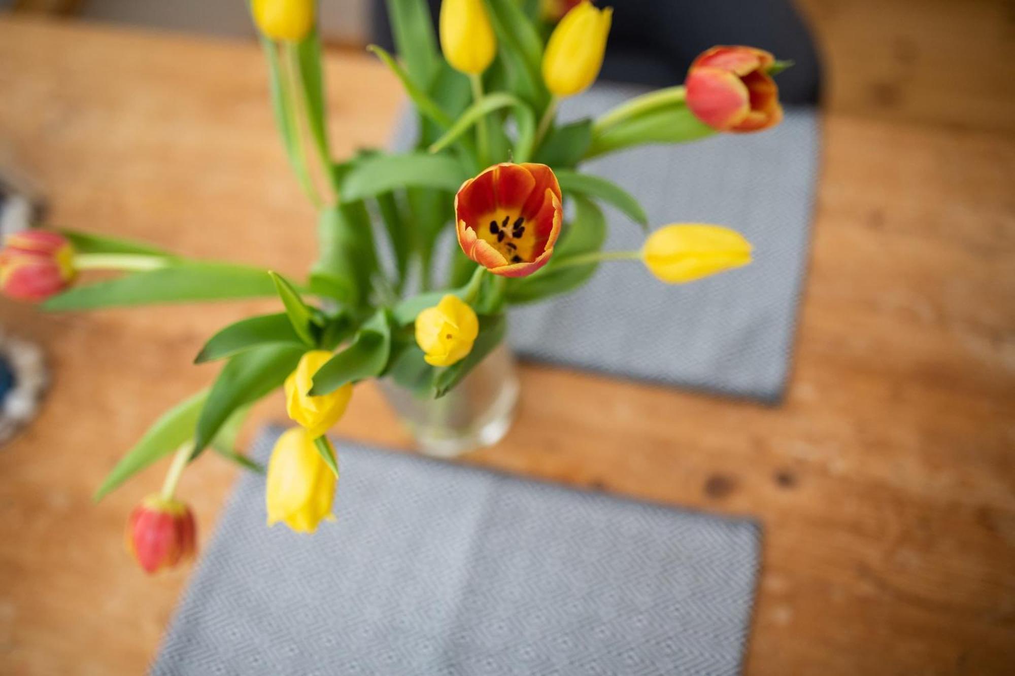 Appartamento Backbord Norderney Esterno foto